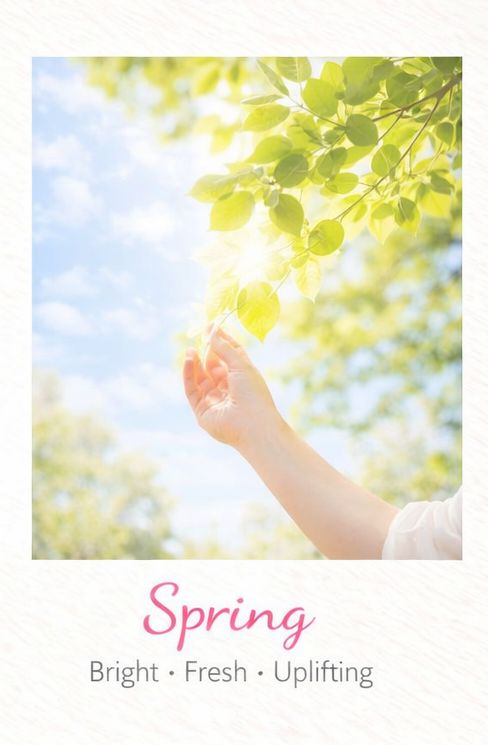 Fresh Start Collection