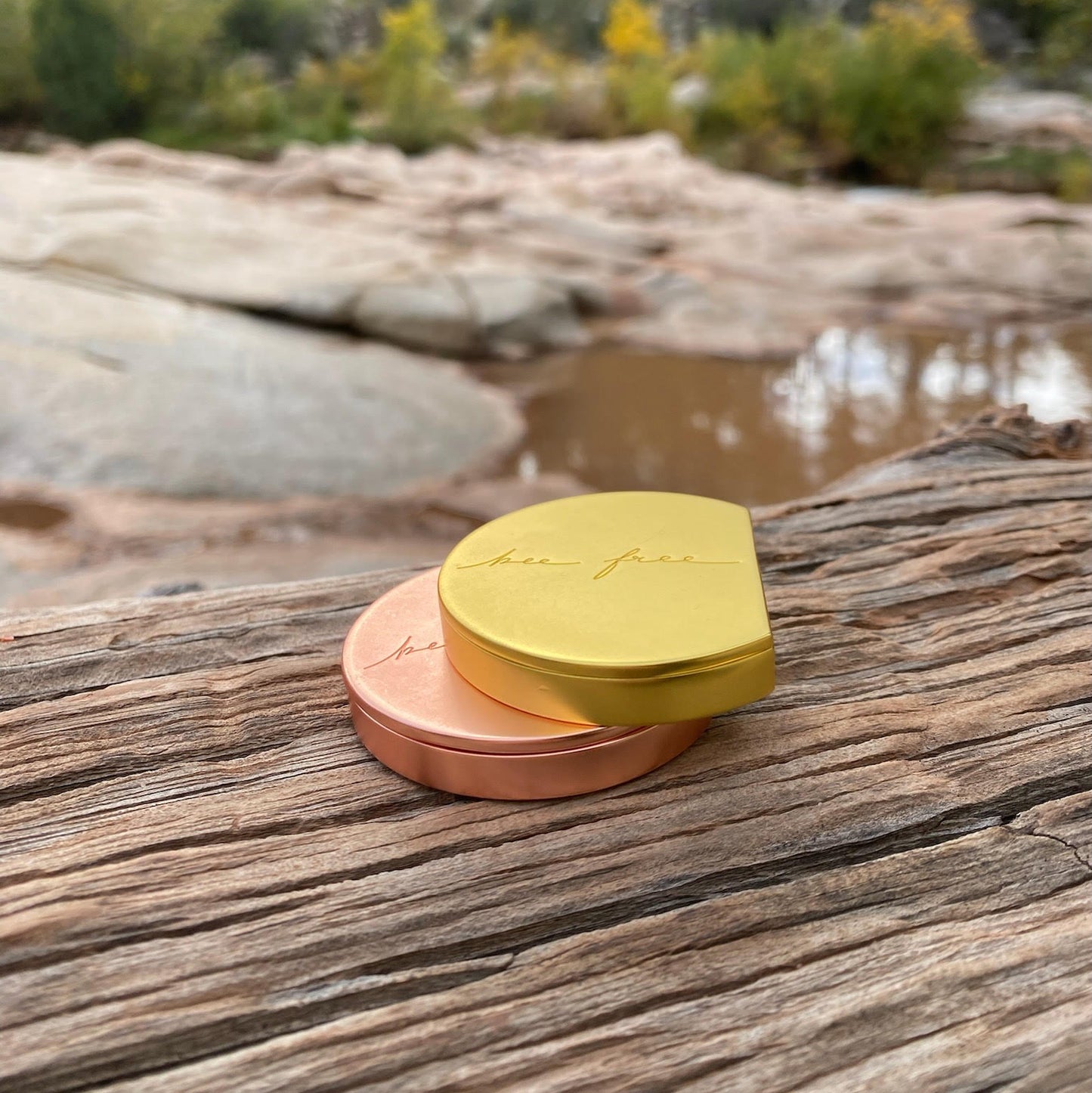 Fresh Start Collection + Signature Case